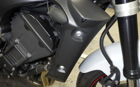 YAMAHA FZ1 FAZER 2013 RN21J