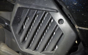 HONDA ﾀﾞﾝｸ 2008 AF78