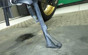 HONDA CRF1100L AFRICA TWIN DCT 2024 SD15