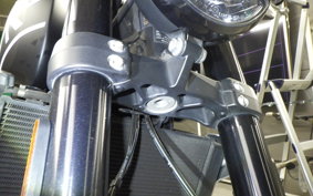TRIUMPH TRIDENT 660 2021