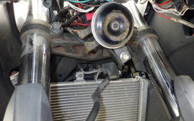 YAMAHA YZF-R25 A RG10J