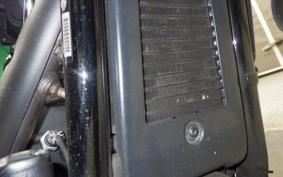 HARLEY FXBB1750 2019