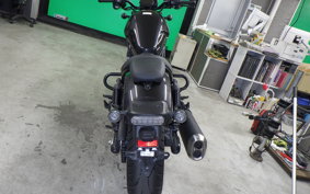 HONDA REBEL 1100 DCT 2024 SC83