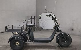 OTHER BURE CHAIR EV TRIKE  ..
