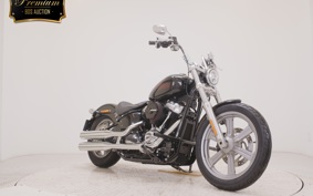 HARLEY FXST1750 2024