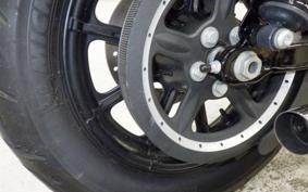 HARLEY XL1200NS 2019