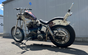 HARLEY FXE1200 2024 445