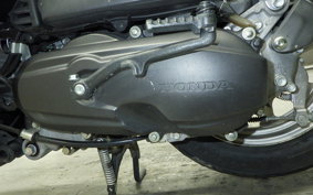 HONDA TACT Basket 2024 AF75
