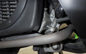 HONDA LEAD 110 JF19