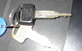 HONDA FORESIGHT SE MF04