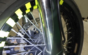 KAWASAKI KLX250D TRACKER X 2025 LX250V