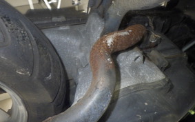 YAMAHA JOG Gen.3 2021 SA12J