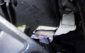 HONDA TODAY 2 2000 AF67