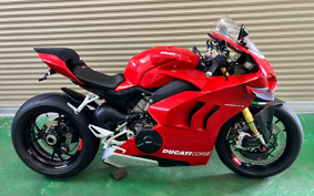 DUCATI  DUCATI PANIGA-REV4S 2022 1D00
