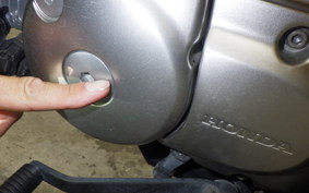 HONDA MONKEY 125 2024 JB02