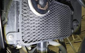 SUZUKI Vｽﾄﾛｰﾑ250 2007