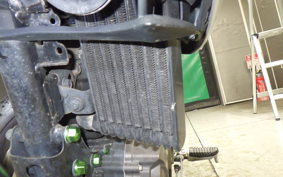 SUZUKI ｼﾞｸｻｰ250 2024