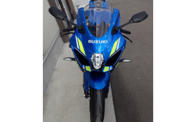 SUZUKI STROM 250 DS11A