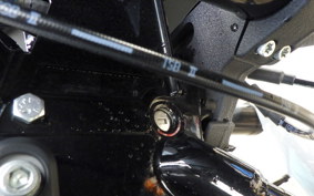 HARLEY FXLRST1920 2025