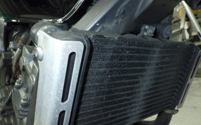 HONDA HORNET 250 MC31