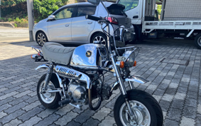 HONDA GORILLA SPRING COLLECTION Z50J