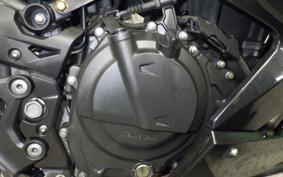 KAWASAKI NINJA 250 EX250P