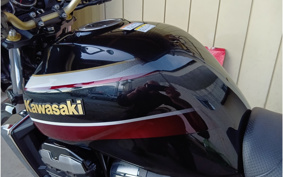 KAWASAKI ZRX1200 DAEG 2013 ZRT20D