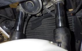 HONDA VFR400R NC21
