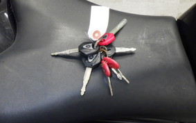 YAMAHA FAZER FZ8 NA 2013