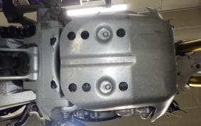 YAMAHA WR250R DG15J