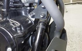 SUZUKI V-STROM 250 2021