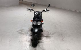 HONDA ZUMAR AF58