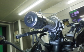 KAWASAKI NINJA 1000 SX 2024 ZXT02K