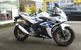 SUZUKI GSX250R DN12B