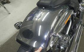 HARLEY FLSTFI1920 2025
