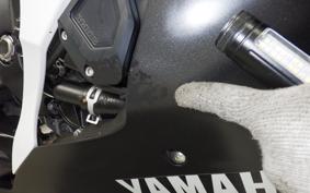 YAMAHA YZF-R6 2010
