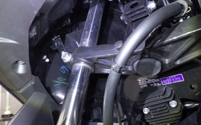 YAMAHA X-MAX 250 2023 SG70J