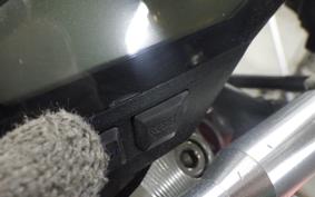 YAMAHA MT-09 2015 RN34J