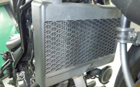 HONDA REBEL 250 MC49