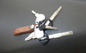 SUZUKI Vｽﾄﾛｰﾑ250A