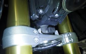 TRIUMPH TIGER 1200 RALLY 2024