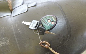 OTHER +UNREGISTERED MODEL by BDS250