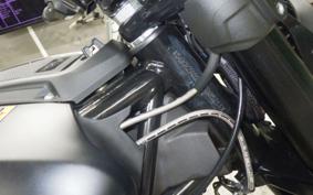 INDIAN FTR1200 2021