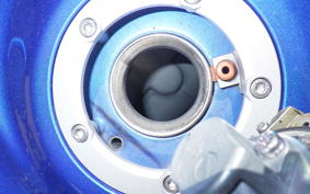 SUZUKI GSX-R1000 2009