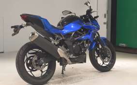 KAWASAKI Z250 SL BR250E