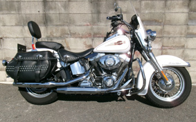 HARLEY HARLEY FLSTC 2006 BW5