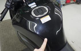 KAWASAKI NINJA ZX-6R A 2026 ZX636J