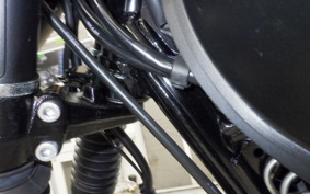 KAWASAKI W800-2ｽﾄﾘｰﾄ 2019 EJ800B