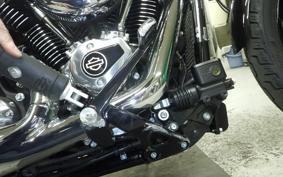 HARLEY FXBB1920 2025