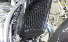 OTHER +ENFIELD SUPER ﾒﾃｵ650 2024